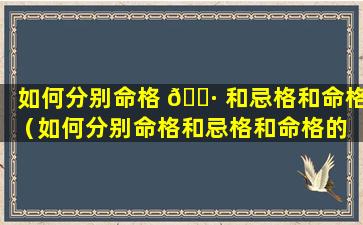 如何分别命格 🌷 和忌格和命格（如何分别命格和忌格和命格的 🐋 区别）